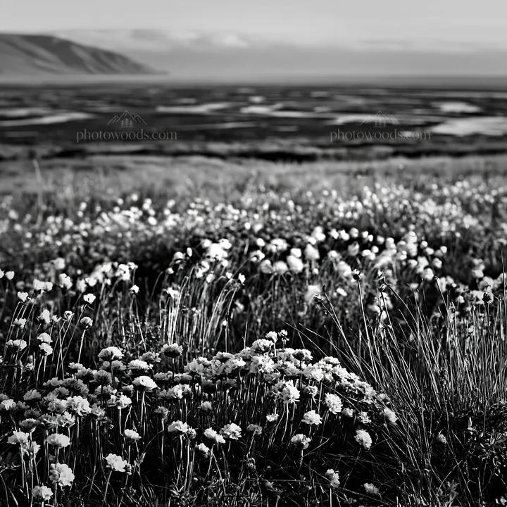 Regenerative meadow with flowers by the coast - AI-generated stock image