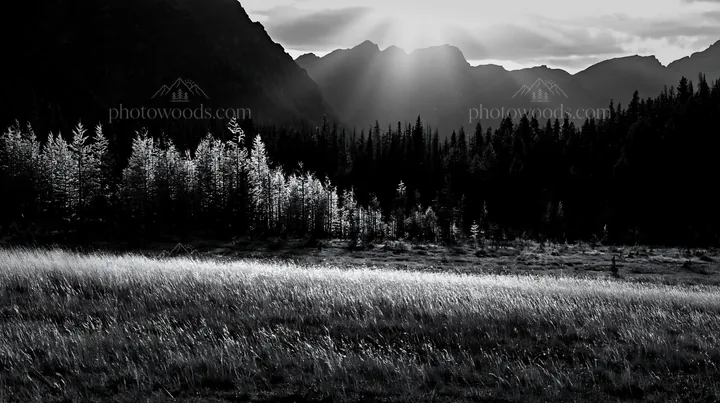 Light rays shining through mountains at Sunshine Meadows Banff - AI-generated stock image