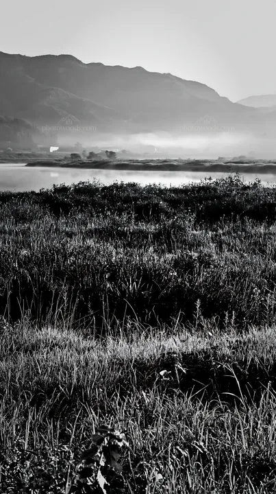 Black and white niigata floodplain restoration meadow dew foreground - AI-generated stock image