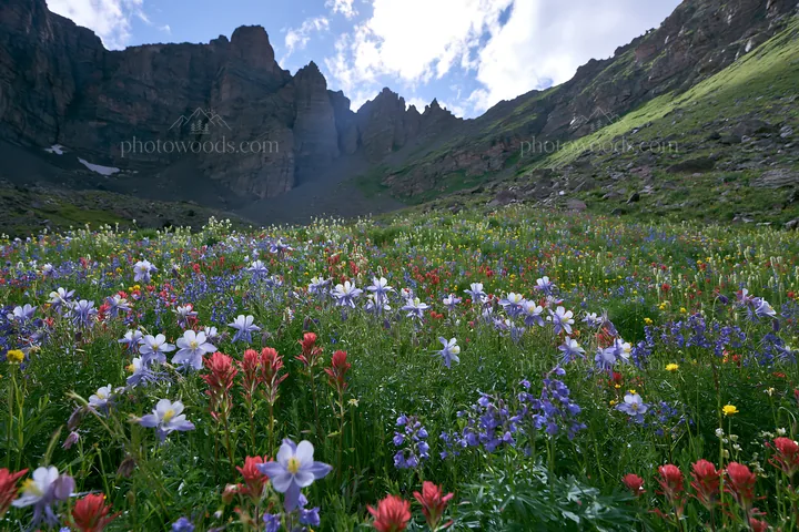 Meadow filled with wildflowers beneath rocky crags - AI-generated stock image