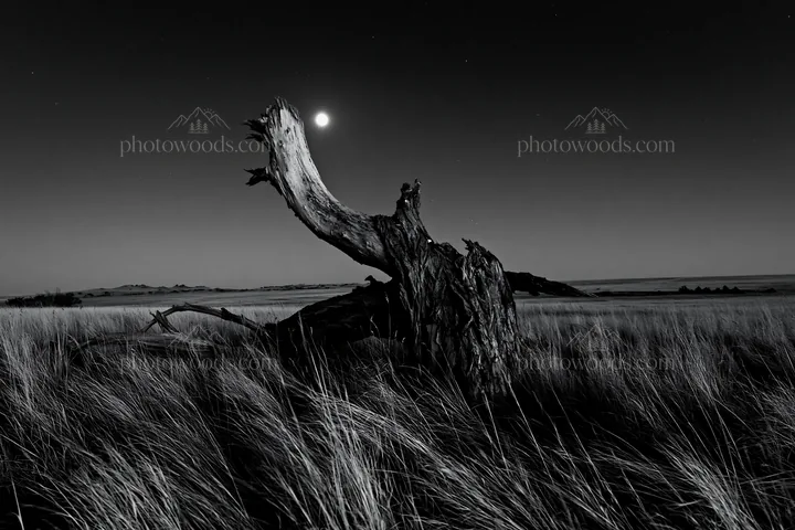 Weathered log in a meadow under the night sky - AI-generated stock image