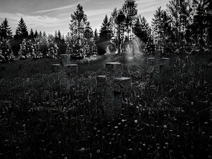 Christian crosses in meadow with light rays shining through trees - AI-generated stock image