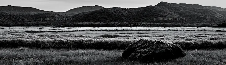 Aomori climate resilient meadow with boulder in black and white - AI-generated stock image