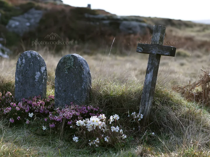 Christian cross in a Christmas meadow with headstones - AI-generated stock image