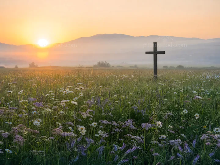 Wooden Christian cross in meadow at sunrise - AI-generated stock image