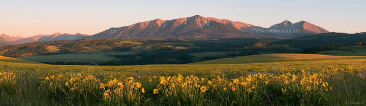 Rolling valley with mountains and wildflowers at sunset - AI-generated stock image