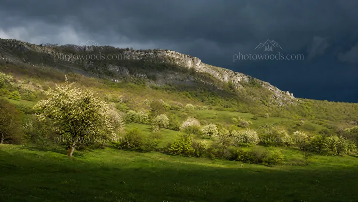 Hillside apple meadow under cloudy sky with rocky cliffs - AI-generated stock image