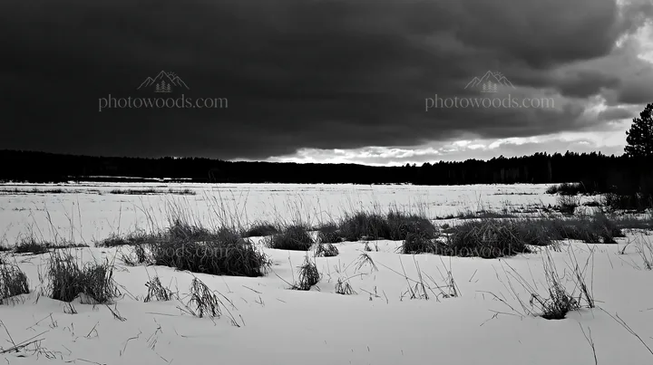 Black and white snowbound meadow with dry grass and darkening sky - AI-generated stock image
