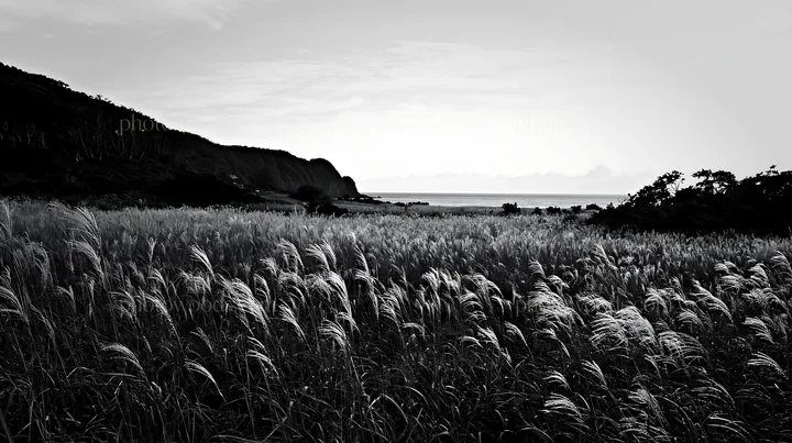 Black and white iwate rain refreshed meadow seedhead foreground with a coastal view - AI-generated stock image