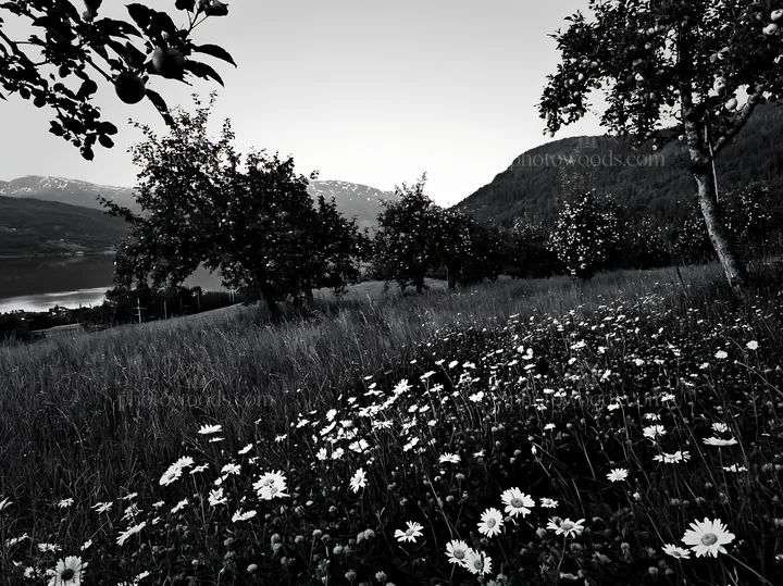 Lakeside orchard meadow filled with flowers and trees - AI-generated stock image