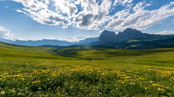 Sunbeams shining over Alpe di Siusi meadow with mountains - AI-generated stock image