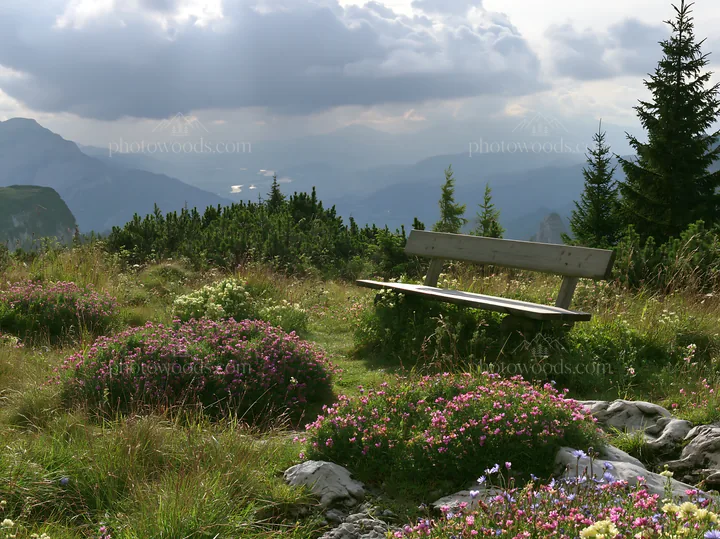 Sainfoin chicory meadow with bench and distant mountains - AI-generated stock image