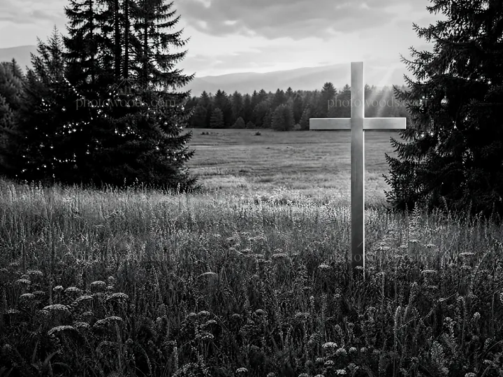 Christian cross in meadow with rays of light - AI-generated stock image