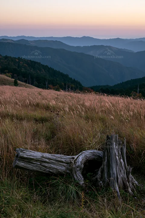 Wakayama autumn meadow weathered wood foreground - AI-generated stock image