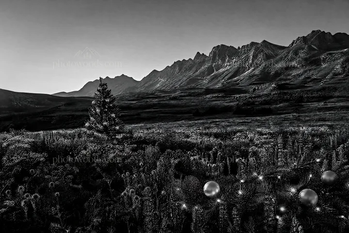 Christmas tree in mountain valley meadow - AI-generated stock image