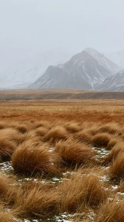 Snowy alps and meadow in lake tekapo - AI-generated stock image