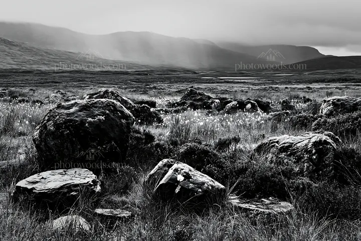Mossy boulders in a meadow under cloudy skies - AI-generated stock image