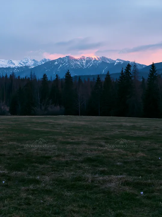 Tatra mountains meadow spring snowmelt at dusk - AI-generated stock image