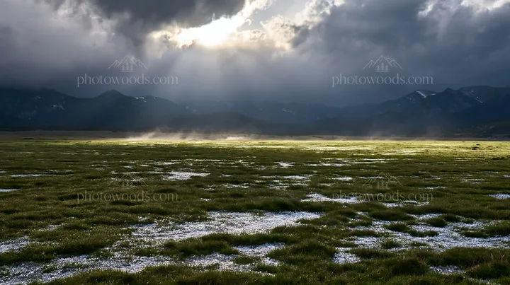 Light rays over Bucegi Mountains meadow at dusk - AI-generated stock image