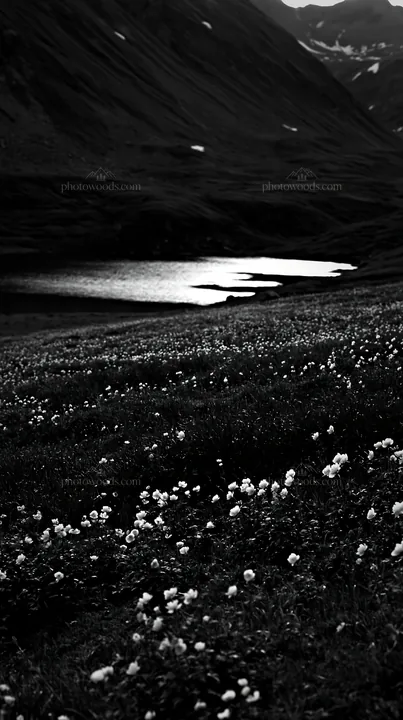 Swiss meadow beside alpine lake at dusk - AI-generated stock image