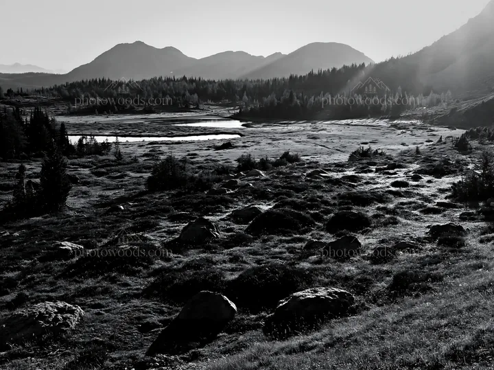 Black and white sunshine Meadows Banff light rays capture the landscape - AI-generated stock image