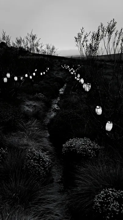 Christmas lights beside stream in meadow at dusk - AI-generated stock image