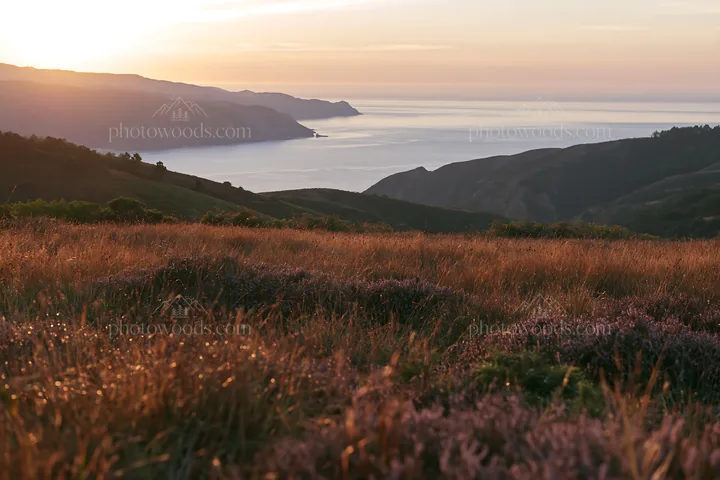 Meadow landscape over Atlantic coast during golden hour - AI-generated stock image