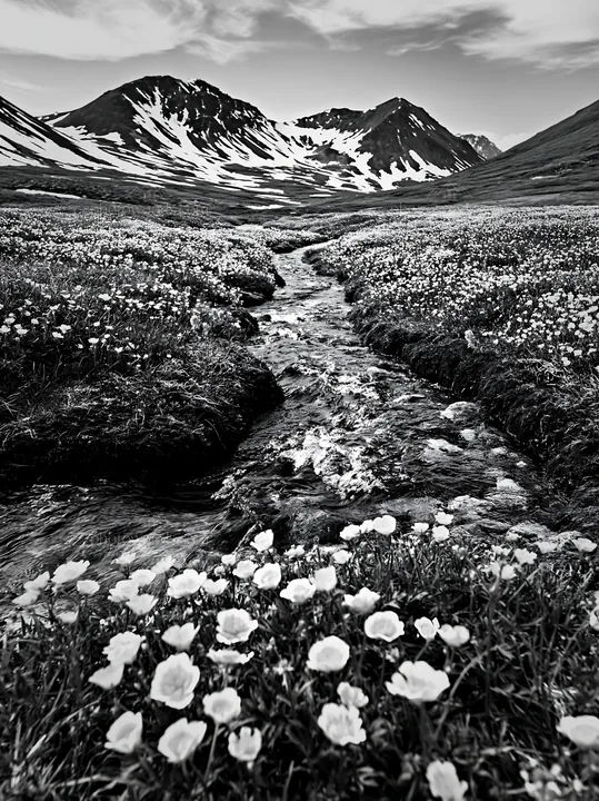 Colorful buttercup meadow with mountains in the background - AI-generated stock image
