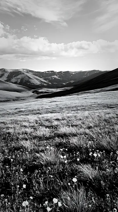 Black and white climate-resilient meadow with mountains in the background - AI-generated stock image