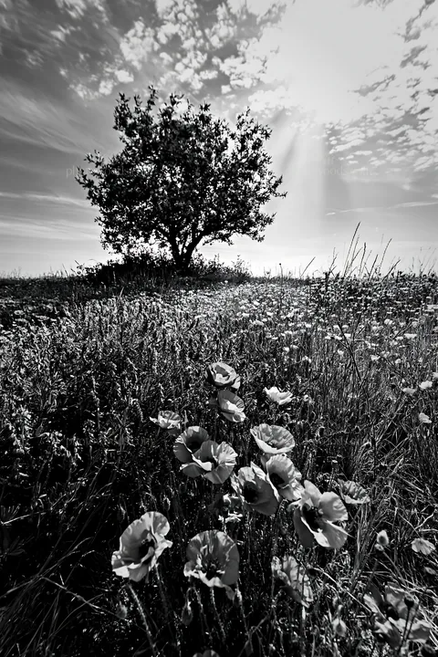 First leaves on Easter tree in a spring landscape - AI-generated stock image