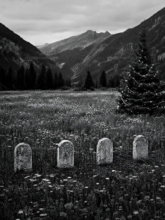 Christmas tree in mountain valley meadow with gravestones - AI-generated stock image