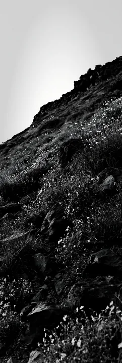 Yamanashi meadow with basalt stones on hillside - AI-generated stock image