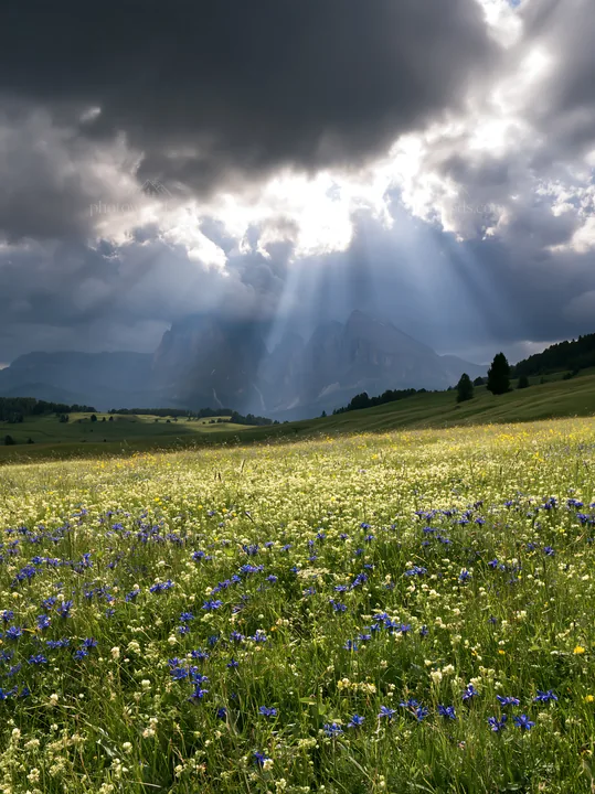Sunbeams over Alpe di Siusi meadow with flowers - AI-generated stock image