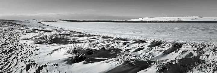 Snowy lakeside meadow with frozen water and dry grass - AI-generated stock image