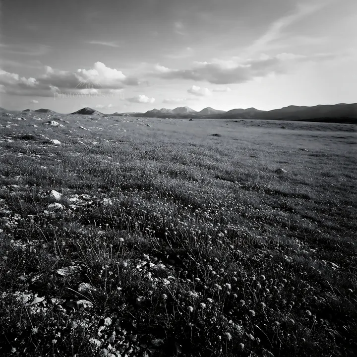 Sunny limestone meadow with distant mountains under bright sky - AI-generated stock image