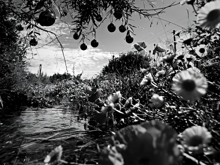 Christmas lights along stream in meadow - AI-generated stock image