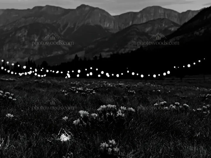 Wide Christmas meadow with native flowers and fairy lights - AI-generated stock image