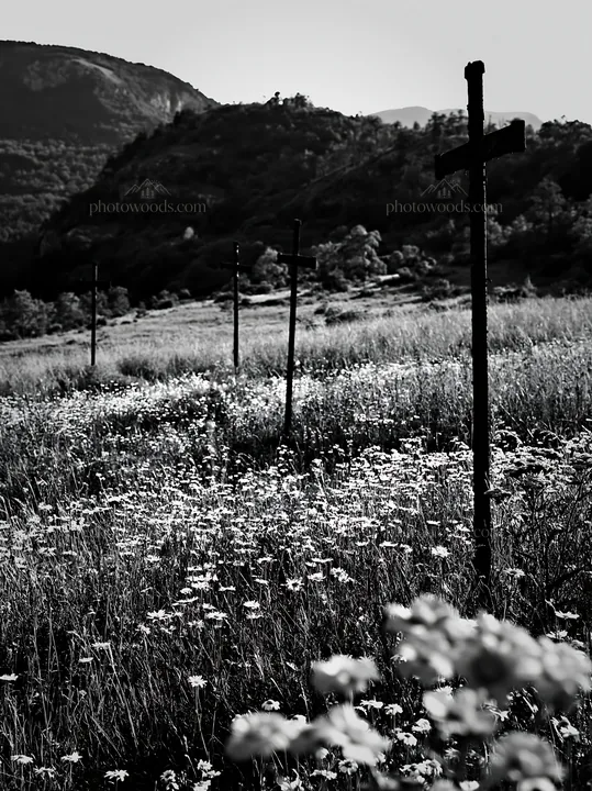 Three iron crosses in an Advent meadow - AI-generated stock image
