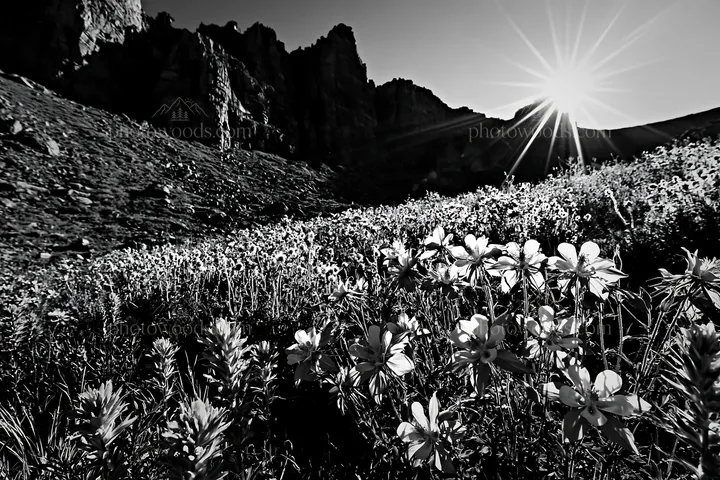 Meadow with flowers beneath crags at sunrise - AI-generated stock image