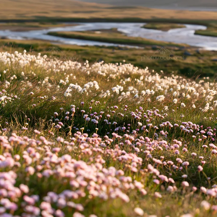 Regenerative meadow with blooming wildflowers by a river - AI-generated stock image