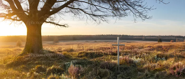Christian cross in winter meadow with low sunlight - AI-generated stock image