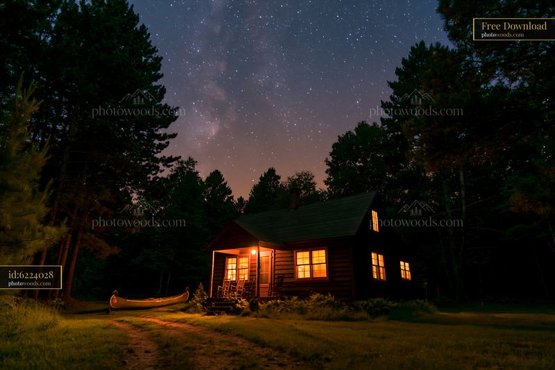 Cozy holiday home under stars in a forest setting