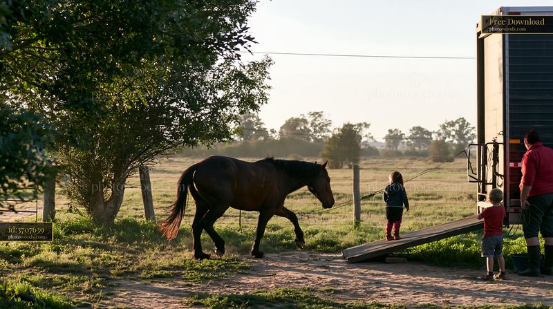 Horse transport loading at sunset with children and an adult nearby