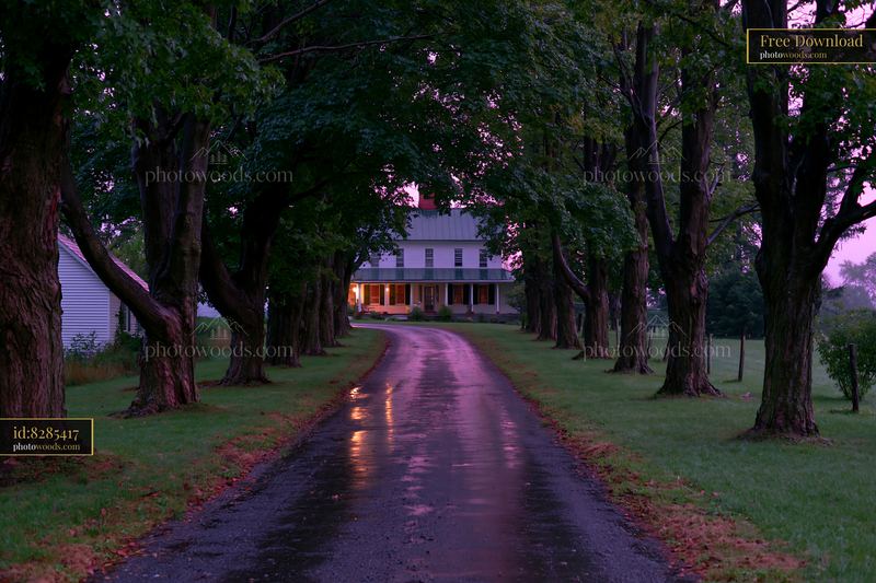 Farmhouse driveway lined with trees creates a welcoming path