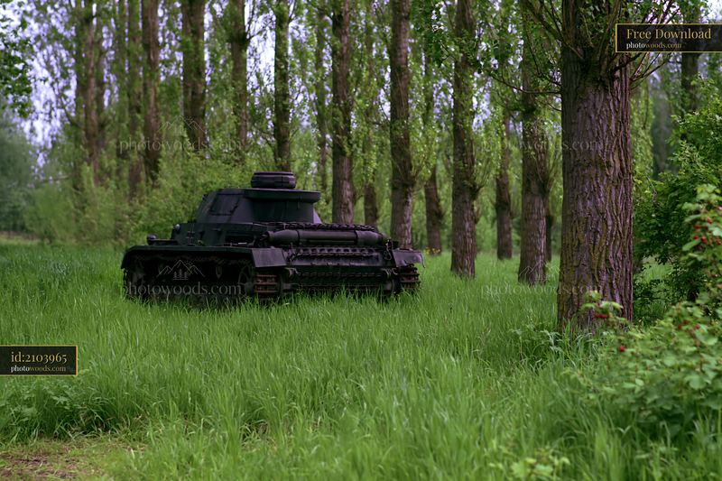 Panzer tank surrounded by grass in a forested area