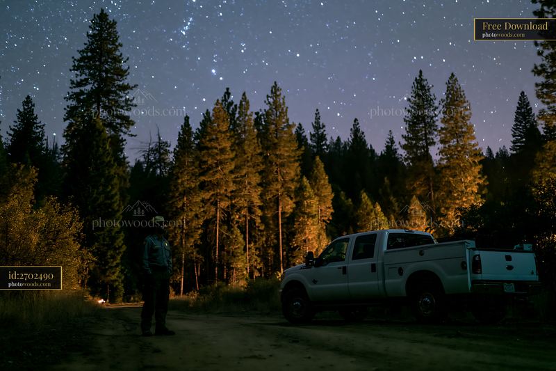 Starry night over a pine forest with a person and a truck