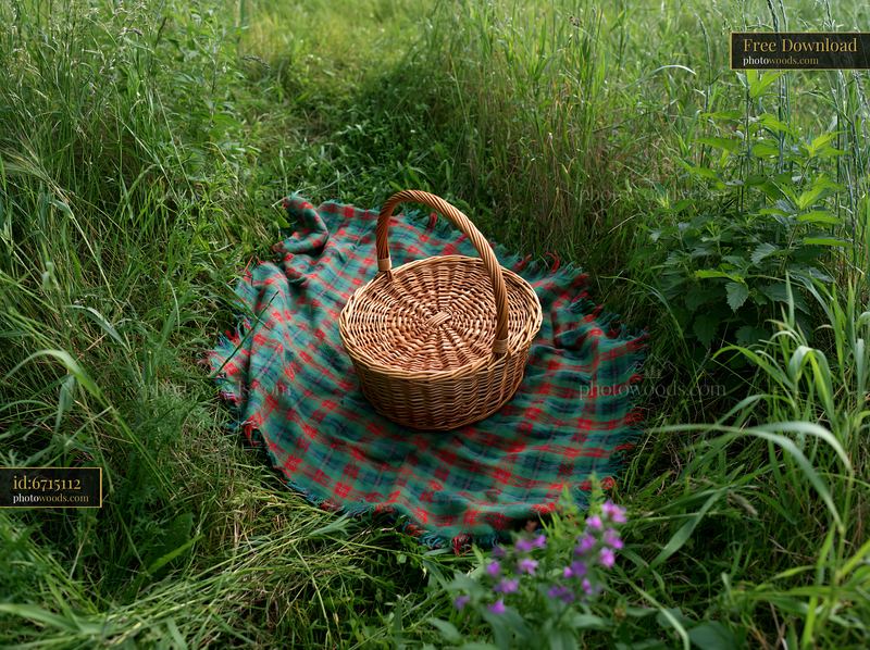 Meadow viewed from above with a picnic basket on a blanket