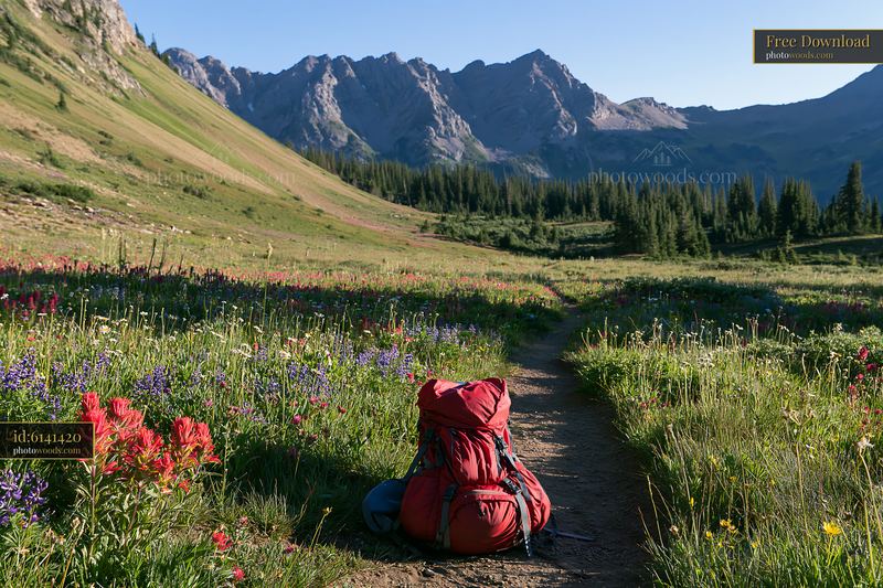 Hiking trail with red backpack in wildflower meadow and mountains