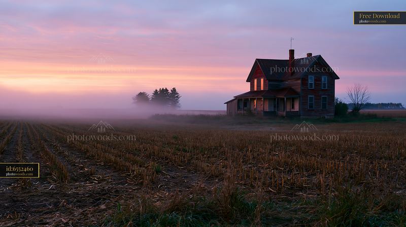 Rural farmhouse surrounded by fields in morning fog