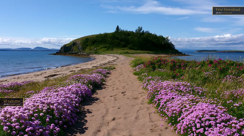 Island with flowers beside a sandy beach and clear blue water